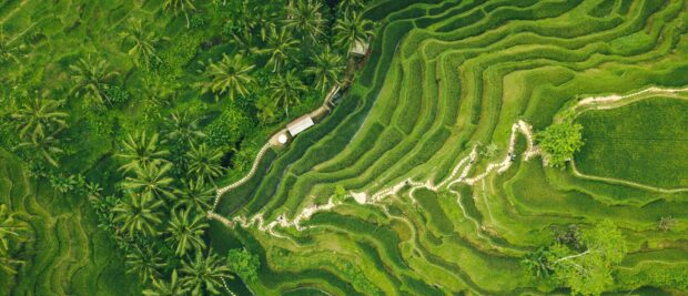 Aerial view of Banaue rice terraces surrounded by lush greenery, 2K Desktop Wallpaper