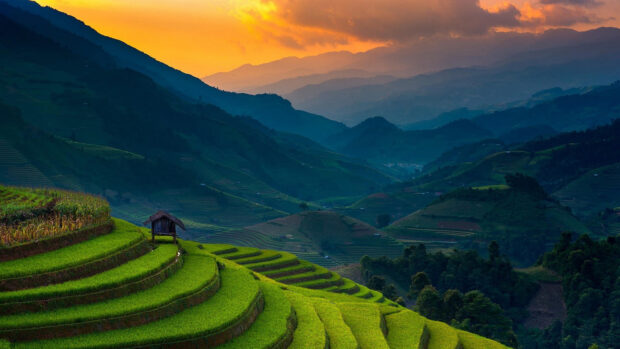 The Banaue Rice Terraces show vibrant green steps leading into distant mountains during sunset, 4K Desktop Wallpaper