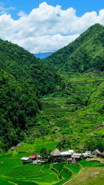 A village is nestled in the Banaue Rice Terraces landscape with lush green terraces and surrounding mountains, HD Mobile Wallpaper