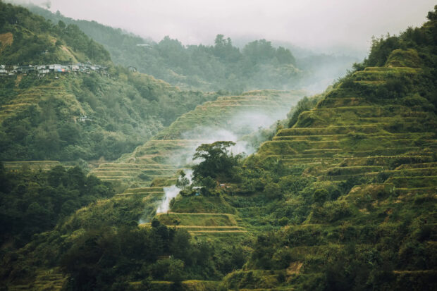 The Banaue Rice Terraces are covered in mist with lush green vegetation surrounding the area, 2K Desktop Wallpaper
