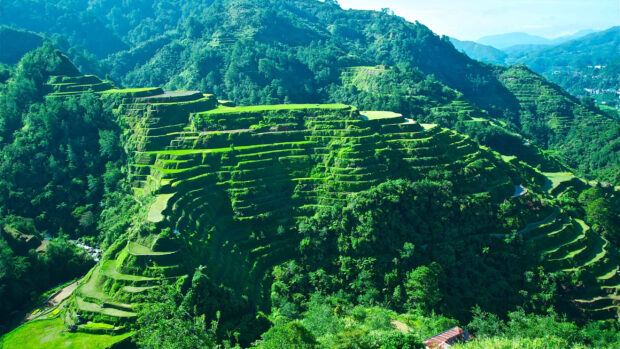 The Banaue Rice Terraces stretch across mountain slopes covered in lush greenery under a clear sky, 2K Desktop Wallpaper