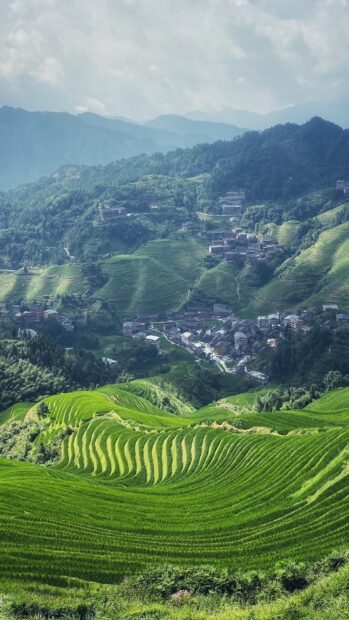 The Banaue Rice Terraces display lush green layers on mountain slopes under a cloudy sky, HD Mobile Wallpaper