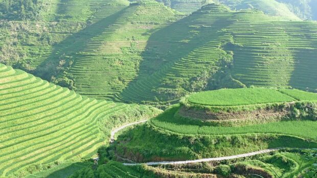 The Banaue Rice Terraces stretch across green mountains under clear sky, HD Desktop Wallpaper