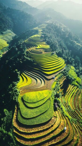 The Banaue rice terraces stretch across the mountains under soft morning light, HD Phone Wallpaper
