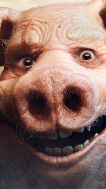 A close up of a detailed character from Beyond Good And Evil game showing facial features, 4K Phone Wallpaper