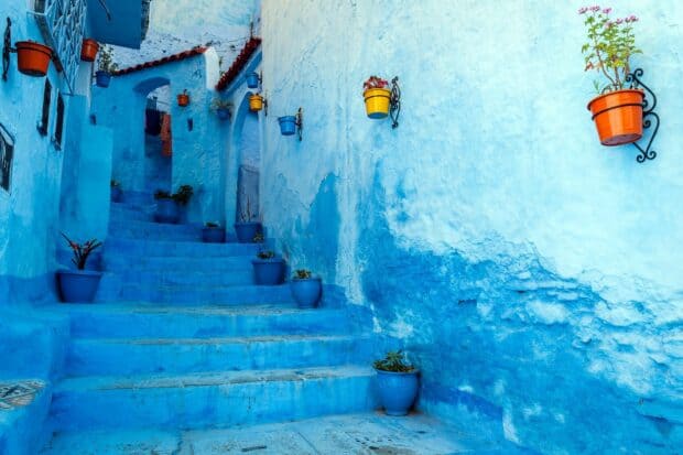 A narrow blue alley in Morocco features colorful flower pots hanging and placed along the steps, HD Desktop Wallpaper