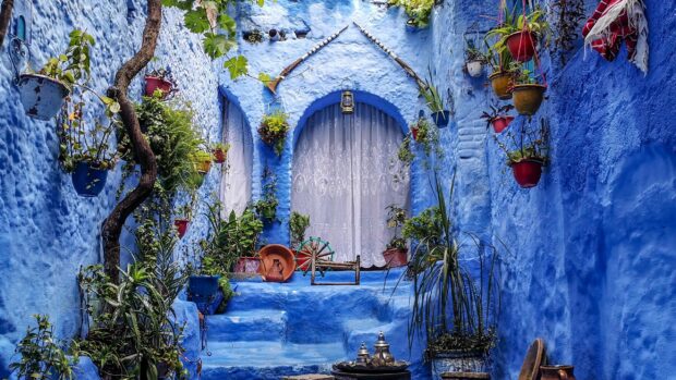 A vibrant blue alley decorated with plants and traditional items in Morocco, 2K Desktop Wallpaper