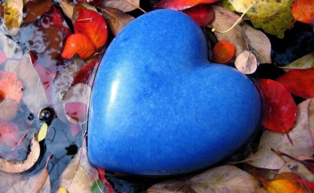 A blue heart shape rests among colorful autumn leaves in water, HD Desktop Wallpaper