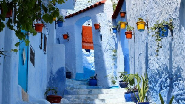 A narrow blue street adorned with colorful flower pots under sunlight in Morocco Wallpapers, HD Desktop Wallpaper