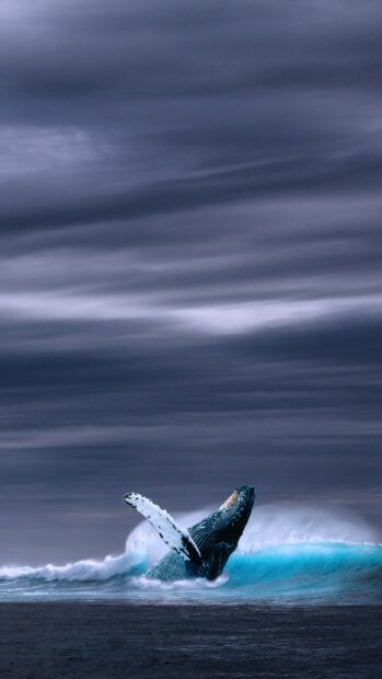A blue whale is breaching through ocean waves under a cloudy sky, 4K Mobile Wallpaper
