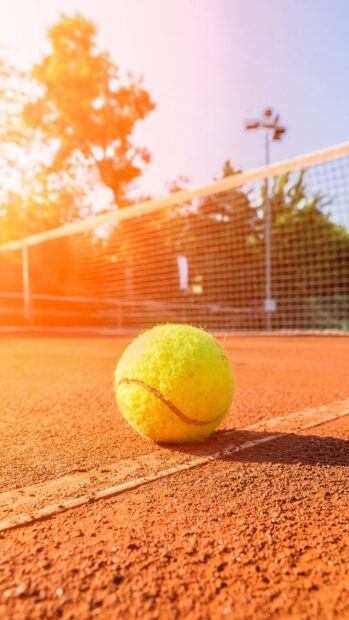 A bright tennis ball rests on a clay tennis court near the net in warm sunlight, HD Mobile Wallpaper