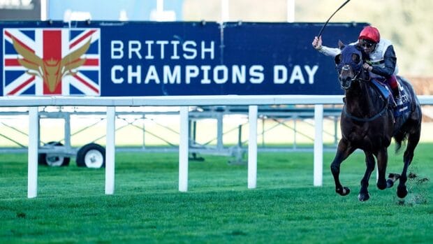 A jockey rides a horse during British Champions Day horse racing event, HD Desktop Wallpaper