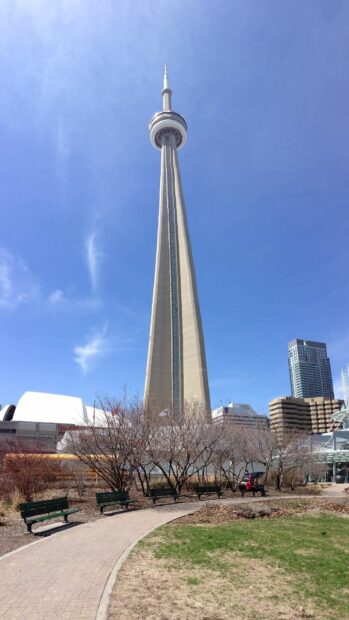 The CN Tower stands tall over Toronto on a clear day with blue skies, HD Mobile Wallpaper