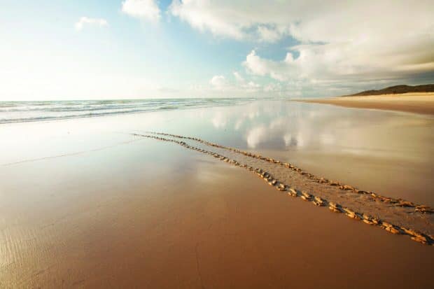 The Fraser Island beach shows smooth wet sand with sky reflections and gentle waves, HD Desktop Wallpaper