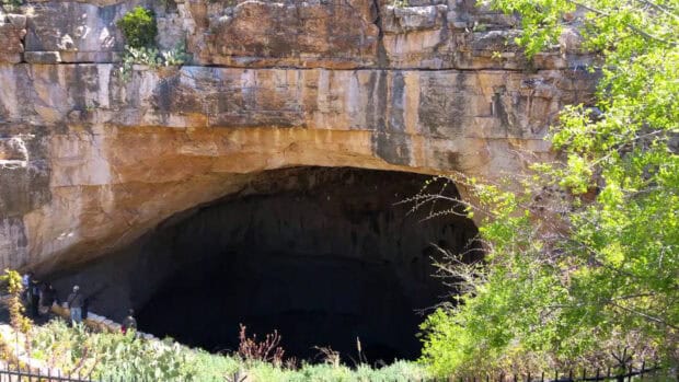 The entrance to Carlsbad Caverns National Park shows rocky cliffs and surrounding green vegetation, HD Desktop Wallpaper