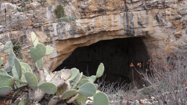 The entrance of Carlsbad Caverns National Park surrounded by desert plants and rocky cliffs, 2K Desktop Wallpaper