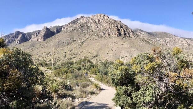 A clear path leads through desert vegetation towards rocky mountains in Carlsbad Caverns National Park, 4K Desktop Wallpaper