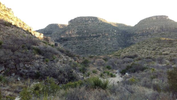 A rocky landscape with sparse vegetation at Carlsbad Caverns National Park under a bright sky, HD Desktop Wallpaper
