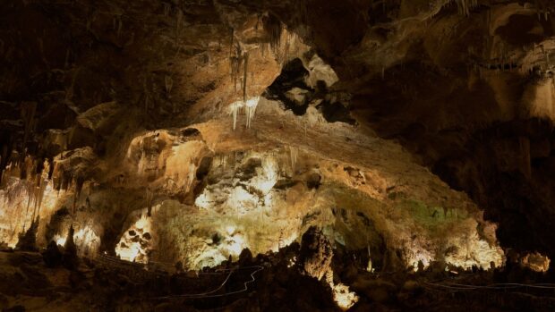 The interior of Carlsbad Caverns National Park is filled with stalactites and cave formations illuminated by lights, 2K Desktop Wallpaper