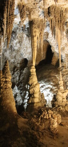 The Carlsbad Caverns National Park shows various stalactites and stalagmites inside, 2K Mobile Wallpaper
