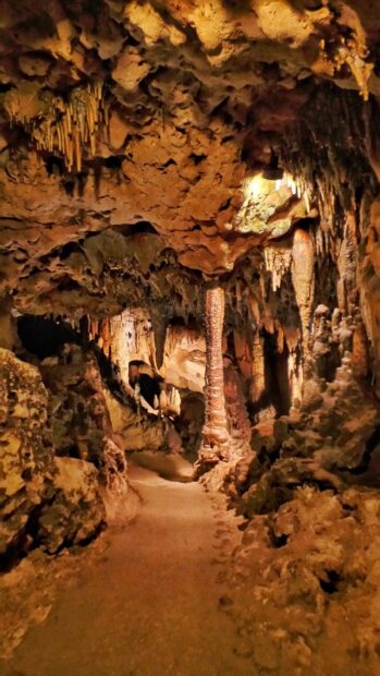 A path winding through Carlsbad Caverns National Park with stalactites and stalagmites, HD Phone Wallpaper
