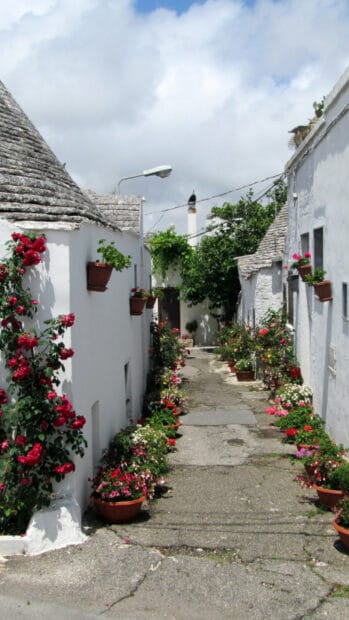 A narrow street in Alberobello with white houses and colorful flowers on both sides, HD Mobile Wallpaper