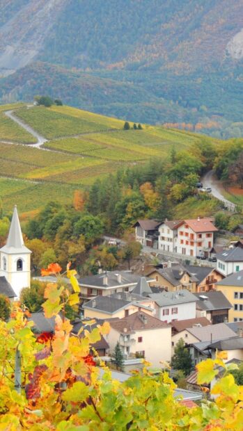 A small village nestled among colorful autumn trees and rolling hills in the countryside, HD Mobile Wallpaper