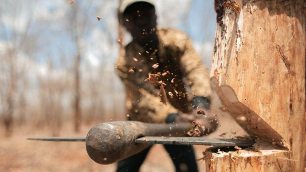 A lumberjack is chopping wood with an axe in a forest, HD Desktop Wallpaper