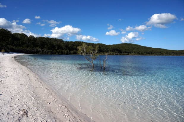 The clear blue water at Fraser Island meets the white sand beach under a bright sky, HD Desktop Wallpaper