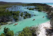 Kayakers enjoy the clear waters of the Fraser Island river surrounded by green trees and white sandy shores, 2K Desktop Wallpaper