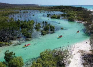 Kayakers enjoy the clear waters of the Fraser Island river surrounded by green trees and white sandy shores, 2K Desktop Wallpaper