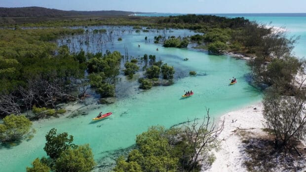 Kayakers enjoy the clear waters of the Fraser Island river surrounded by green trees and white sandy shores, 2K Desktop Wallpaper