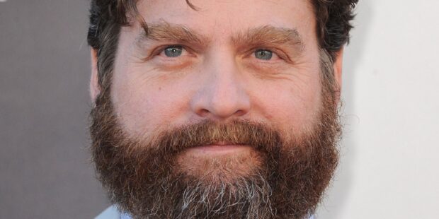 A close up portrait of Zach Galifianakis showing his beard and blue eyes, HD Desktop Wallpaper
