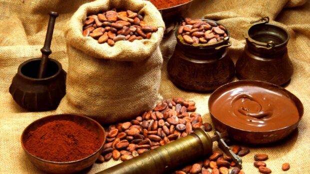 Cocoa Wallpapers with cocoa beans and melted chocolate in bowls, HD Desktop Wallpaper