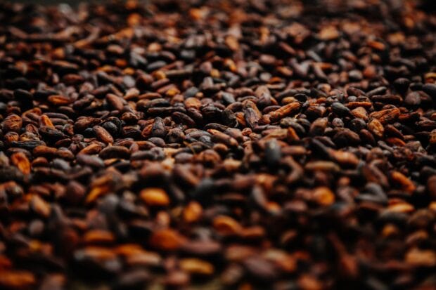 A detailed view of cocoa beans showing rich textures for Cocao Wallpapers, 2K Desktop Wallpaper