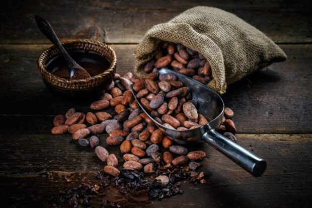 A sack of cocoa beans with a metal scoop and a bowl of cocoa powder on a wooden surface, HD Desktop Wallpaper