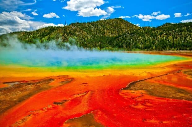 A vibrant view of Yellowstone National Park with colorful geothermal pools and a forested hill, HD Desktop Wallpaper