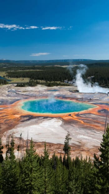 A vibrant geothermal pool steam rises above Yellowstone National Park surrounded by forest and hills, HD Phone Wallpaper