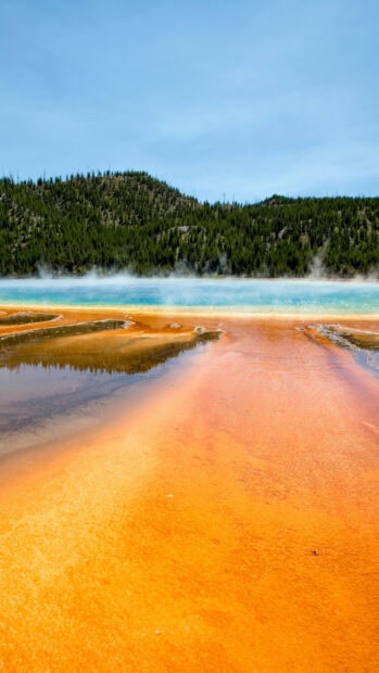 The colorful hot spring at Yellowstone National Park shows steam rising with forested hills in the background, HD Phone Wallpaper