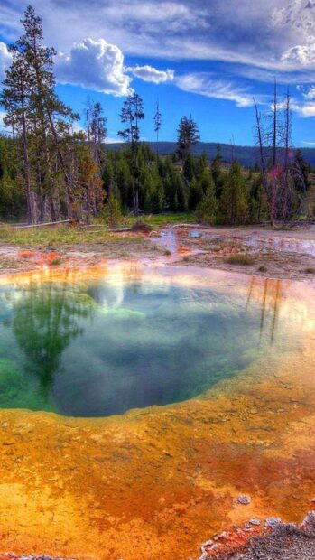 A vibrant hot spring reflects the clear sky and surrounding trees in Yellowstone National Park, HD Phone Wallpaper