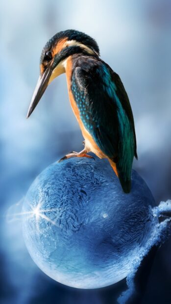 A vibrant kingfisher bird is sitting on a frozen blue sphere with intricate ice patterns, 4K Phone Wallpaper