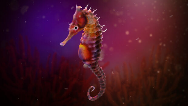 A vibrant seahorse is floating calmly in the deep water surrounded by coral, HD Desktop Wallpaper