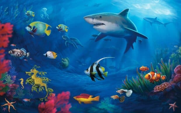 Tropical fish swim among coral and marine life in a vibrant underwater scene, HD Desktop Wallpaper