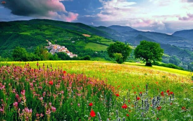 A village surrounded by vibrant wildflowers and lush green hills under a partly cloudy sky, HD Desktop Wallpaper
