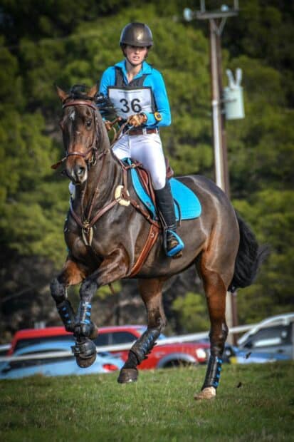 A rider wearing blue competes in eventing with a focused expression, HD Mobile Wallpaper