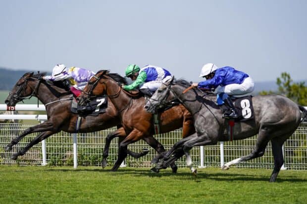 Horse racing wallpapers, 2K Desktop Wallpaper