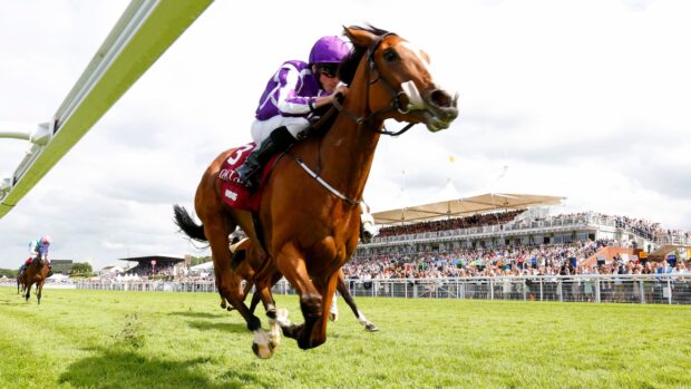 A jockey in purple rides a brown horse at a horse racing event with a large crowd, 2K Desktop Wallpaper