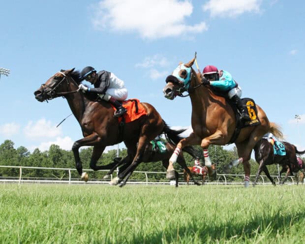 Two jockeys riding horses during a horse racing event on a grass track, 2K Desktop Wallpaper