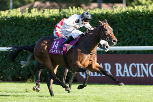 Horse Racing Wallpapers, 2K Desktop Wallpaper