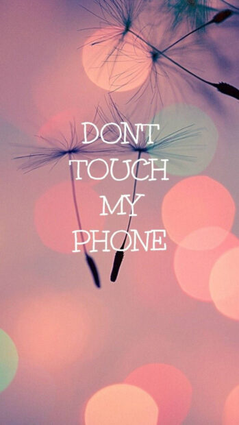 A close up of dandelion seeds with soft bokeh and a message about a phone, HD Phone Wallpaper